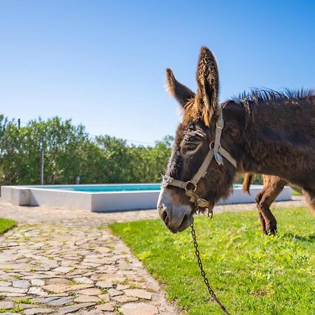 Burro Ville By Host Wise Portimão Zewnętrze zdjęcie