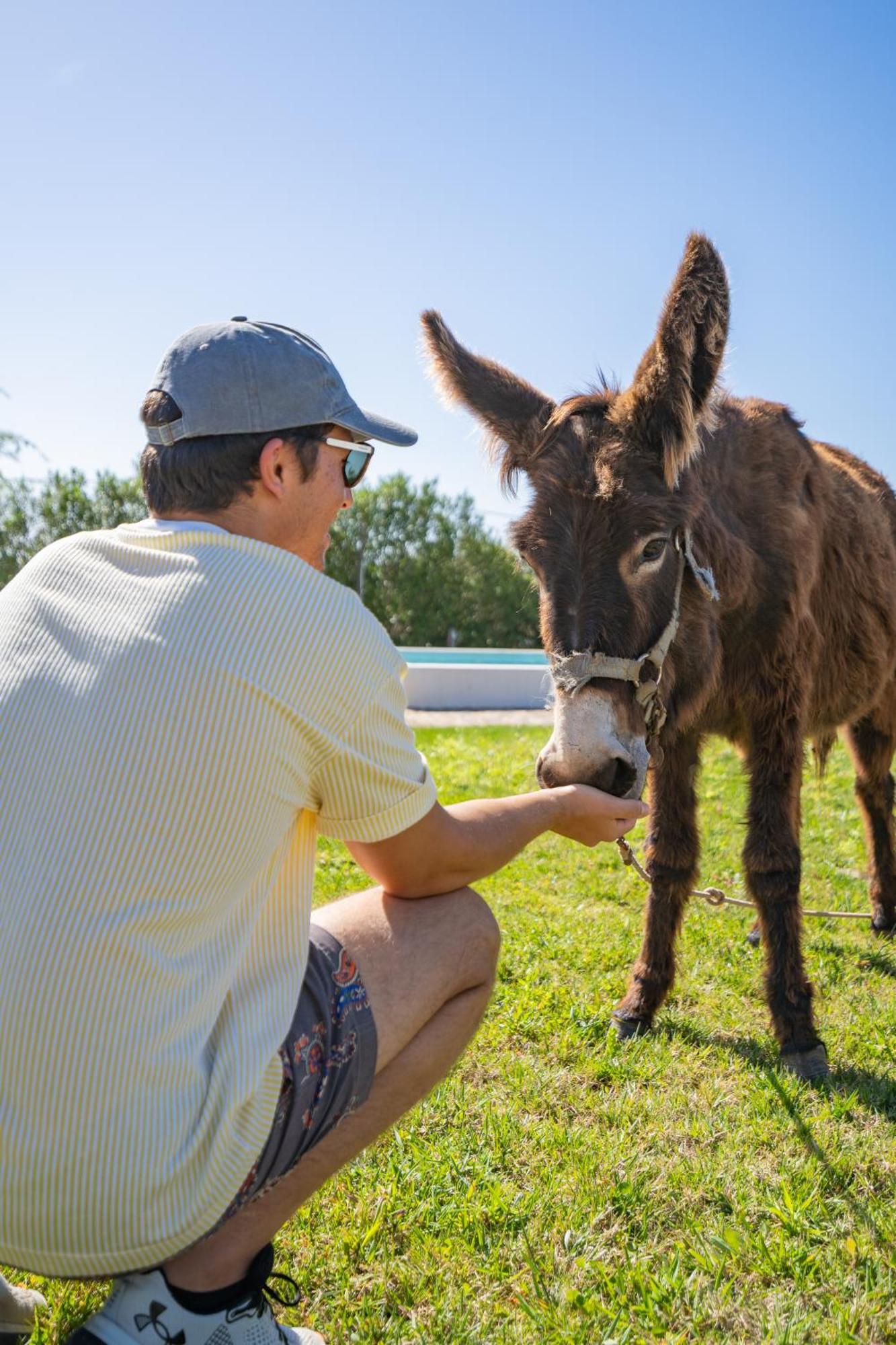 Burro Ville By Host Wise Portimão Zewnętrze zdjęcie