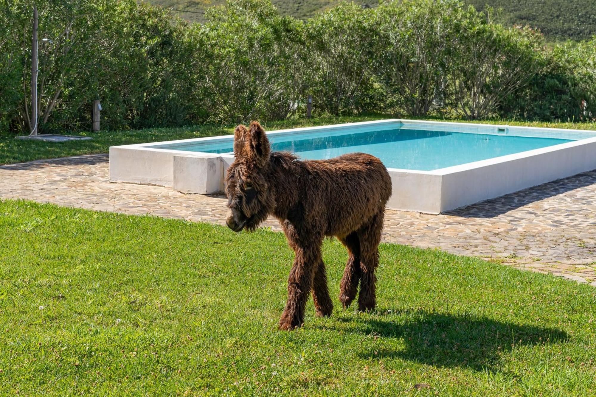 Burro Ville By Host Wise Portimão Zewnętrze zdjęcie